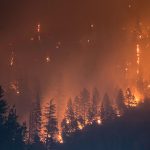 Senet and Thingy IOT Partner to Deliver LoRaWAN® Wildfire and Air Quality Monitoring Solutions