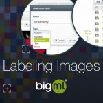 The Many Ways of Labeling Images on the BigML Platform