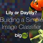 Building a Simple Image Classifier on the BigML Dashboard