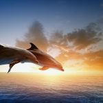 Article: Embracing Cloud-Native for Apache DolphinScheduler with Kubernetes: A Case Study
